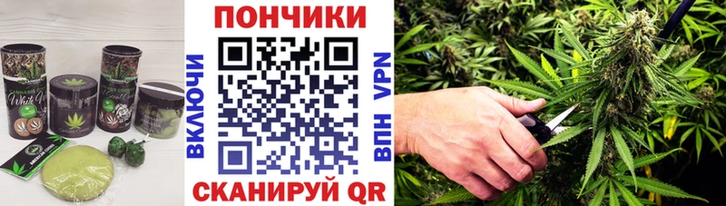 гидра   купить   Тарко-Сале  Canna-Cookies марихуана 
