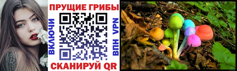 Галлюциногенные грибы Psilocybine cubensis  mega ТОР  Тарко-Сале  наркота 