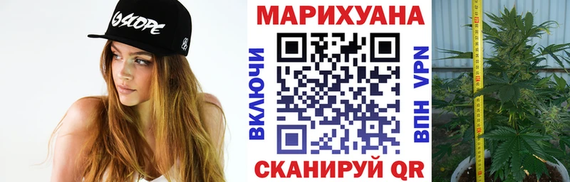Канабис гибрид  Тарко-Сале 